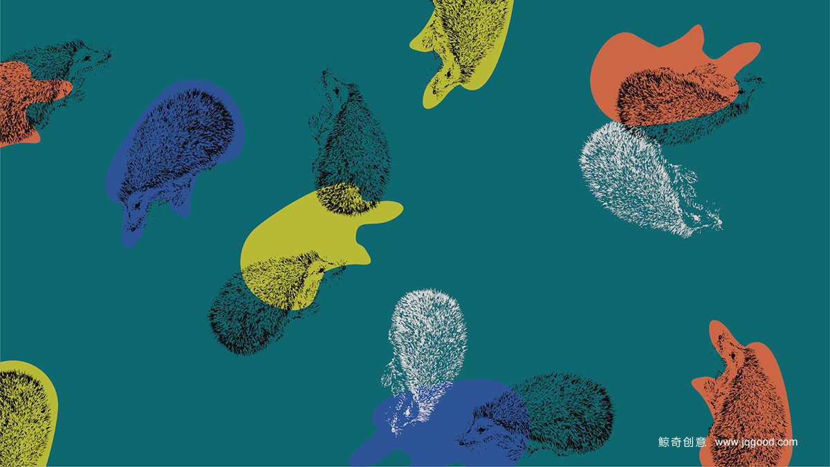 小酒包裝設(shè)計(jì)圖片